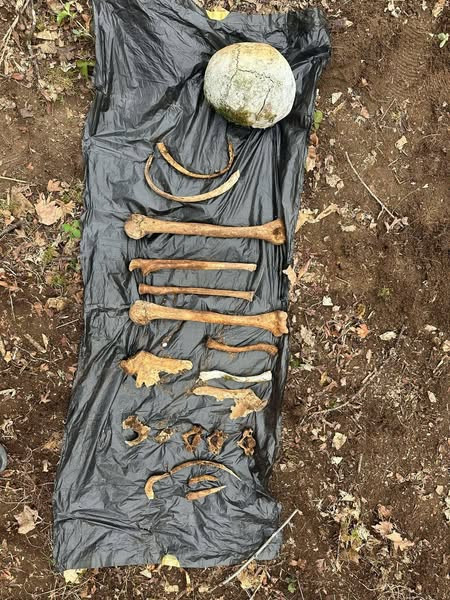 488602448 122200526552146263 3249251053090308667 n.jpg?stp=dst jpg s600x600 tt6& nc cat=103&ccb=1 7&.jpg