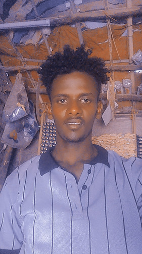 images%2Fimage 1743689592648.jpg