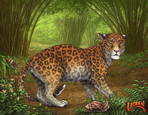 lion 794235753772.png