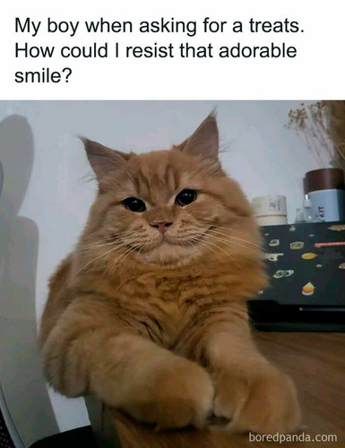 2lYjlDu.jpg