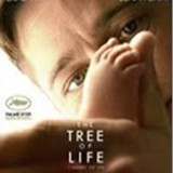 imgTHETREEOFLIFE