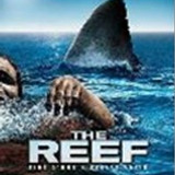 imgTHEREEF