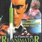 imgFIANCEEREANIMATOR