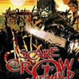 imgSCARECROWGONEWILD