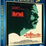 imgLASENTINELLEDESMAUDITS