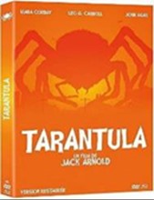 imgTARANTULA.jpg