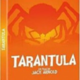 imgTARANTULA