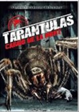 imgTARANTULAS.jpg
