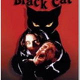 imgTHEBLACKCAT