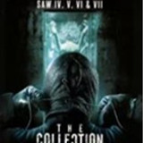 imgTHECOLLECTION