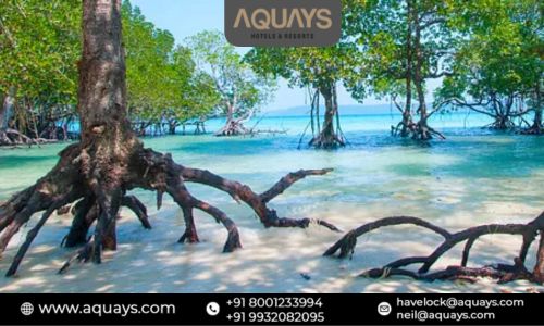A Quick Guide to Integrated Resorts: Features & Benefits.jpg
