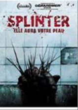 imgSPLINTER.jpg