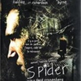 imgSPIDER