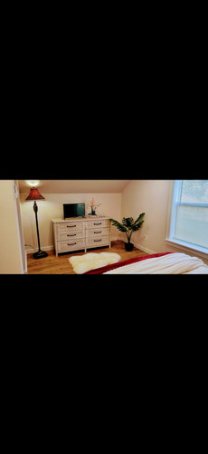 IMG 20250403 145638 01.jpg