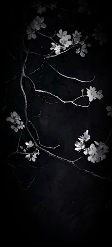 retouch 2025040502310935.jpg