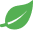 green leaf.png