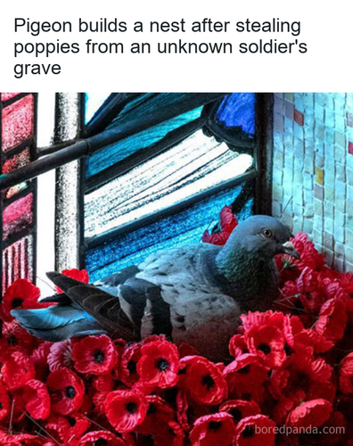 a307c971 360e 494b 89f4 f64a9acd6ff7.png