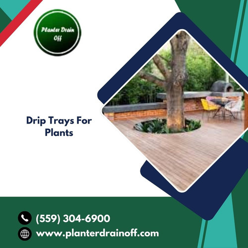 Planter Drain Off.jpg