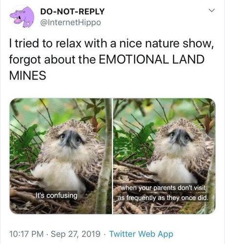 478877703 10230889582921356 5888703755851002510 n.jpg