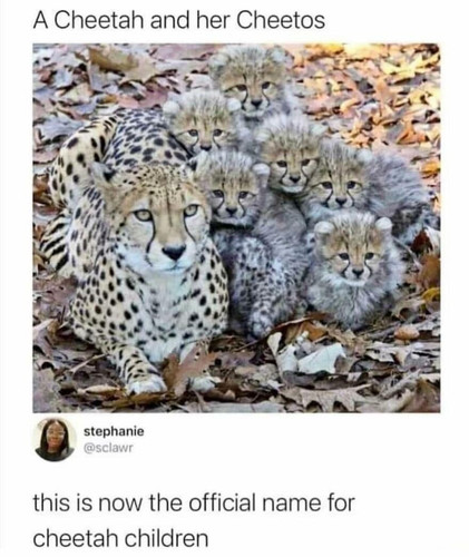 476423258 10230886097794230 4282216364715634367 n.jpg