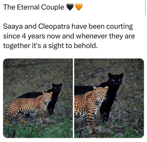 476805747 10230882016172192 6607833843550404436 n.jpg