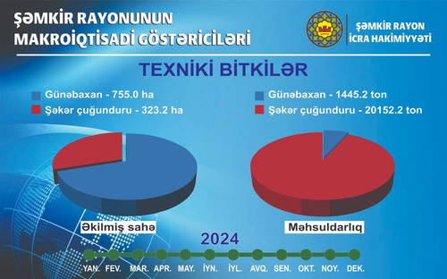 488671016 639702915440299 521598021051904149 n.jpg?stp=dst jpg p600x600 tt6& nc cat=107&ccb=1 7& nc .jpg