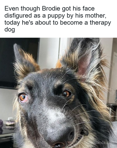 19ccf616 eee6 43ee b574 dc32c4c012e0.png