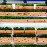 TechGrow Solutions (12)