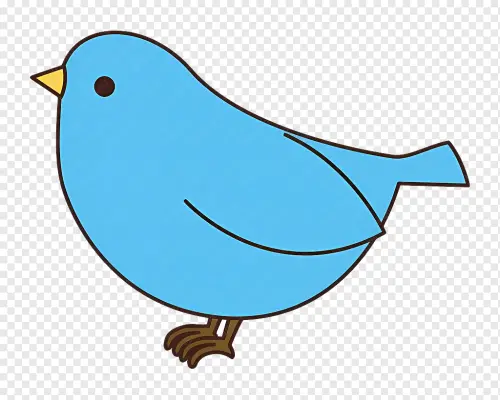 transparent icon blue bird bird with tilted head standing bird small blue bird with tilted head and .webp