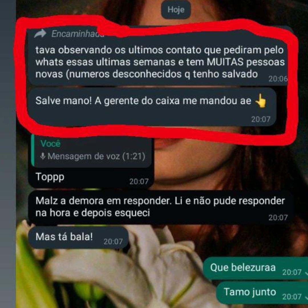 Prova Social