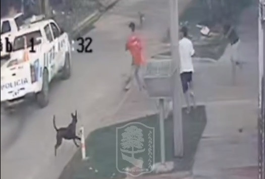 Sin título.jpg Inadaptados atacaron a efectivos del Comando Radioeléctrico Policial