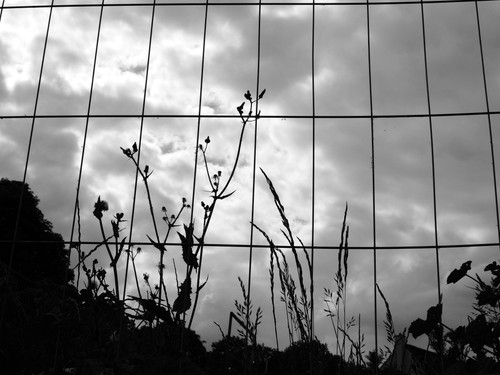 P1010342.jpg