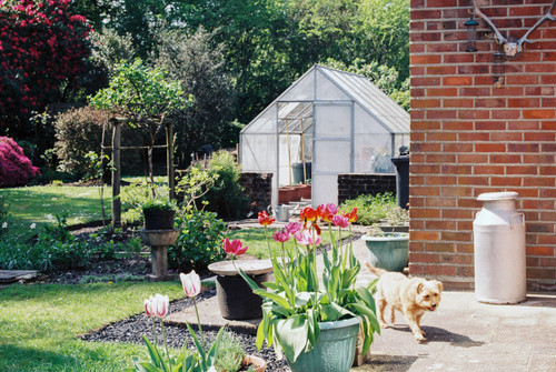Jardinconmascota.jpg