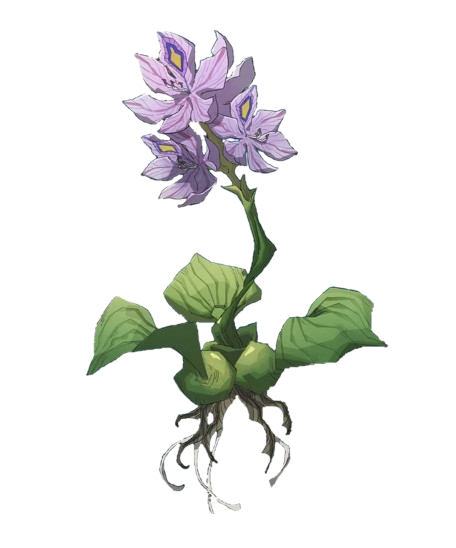 image removebg preview.png