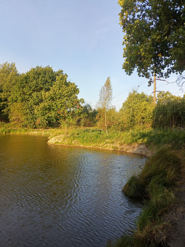 2024 09 09 07 14 46 cycling.jpg