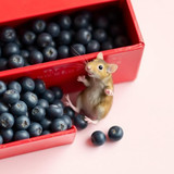 www.naked-ai.art - A red box of blue berries with a rat dancing inside