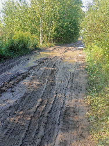 2024 09 16 14 21 40 cycling.jpg