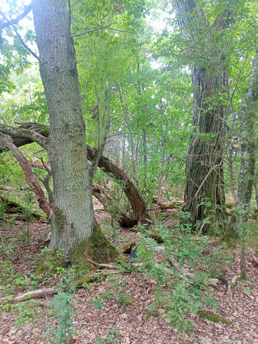 2023 07 31 14 51 45 cycling.jpg