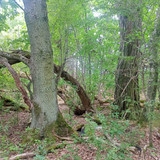 2023 07 31 14 51 45 cycling