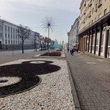 IMG20220402085133 01