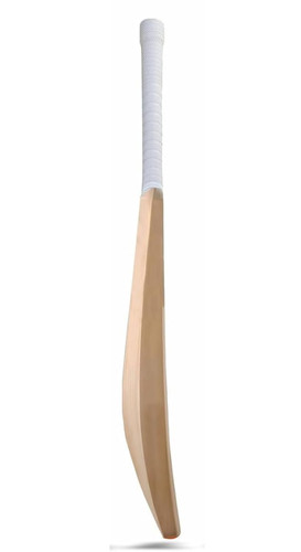 31OAV1q9OCL. SL1100 .jpg