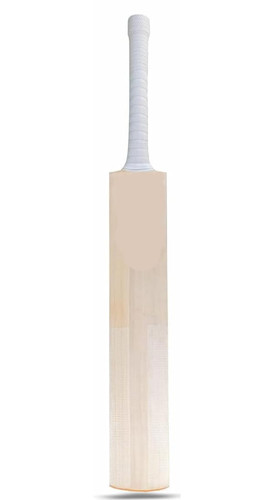 31TNtSTpJtL. SL1100 .jpg