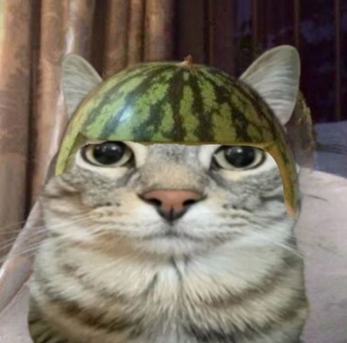 1000727666.jpg