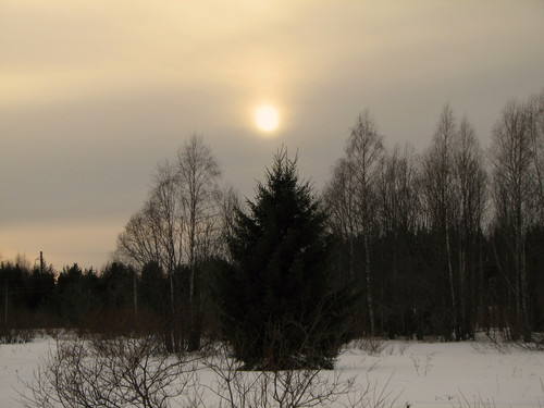 IMG 0365 1.jpg