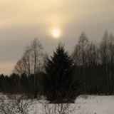 IMG 0365 1