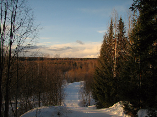 IMG 0301 1.jpg