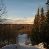 IMG 0301 1