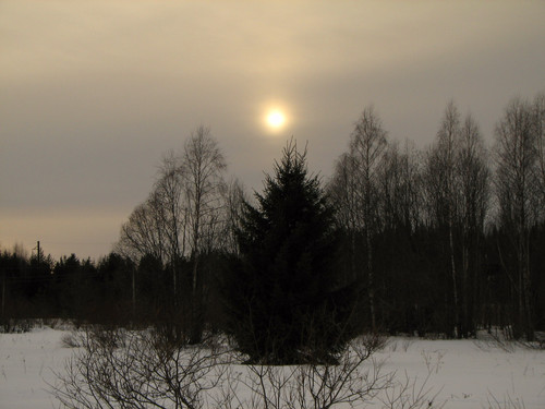 IMG 0370 1.jpg
