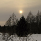IMG 0370 1