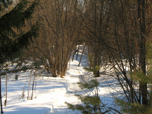 IMG 0377 1.jpg